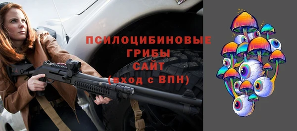 крисы Магадан