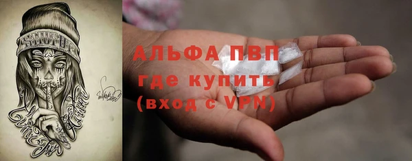 крисы Магадан