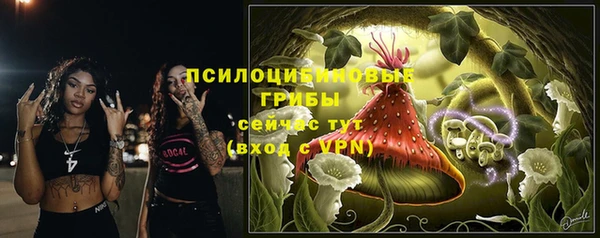 кокс Магас