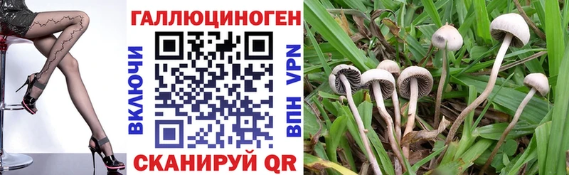 купить наркотики цена  Суджа  Псилоцибиновые грибы ЛСД 